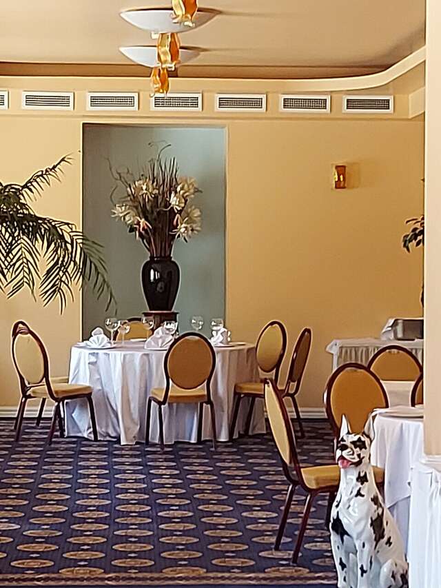 Гостиница Сахалин Саппоро Южно-Сахалинск-219